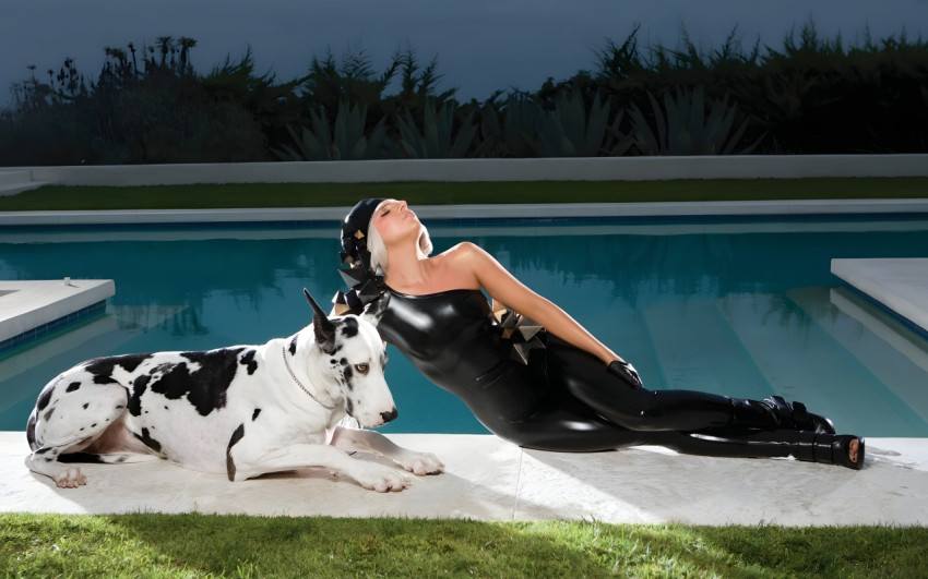 Glamorous Lady Gaga Desktop Picture