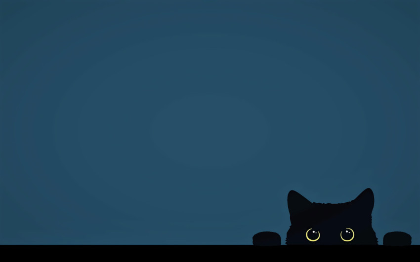 Fluffy Black Cat Wallpaper in 4K