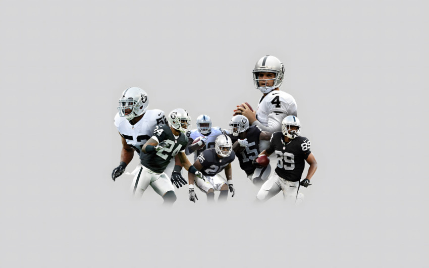 Best Action Shots of Raiders Player for Wallpaper