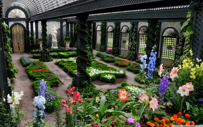 Elegant Botanical Garden Desktop Photo