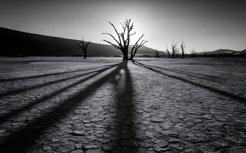 Breathtaking Desert Canyon Desktop Picture