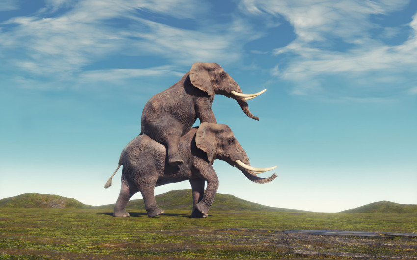 Funny Goofy Ahh Image for Desktop Background