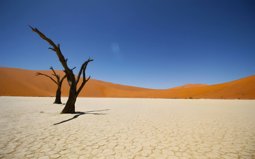 Inspiring Desert Scene HD Background for PC