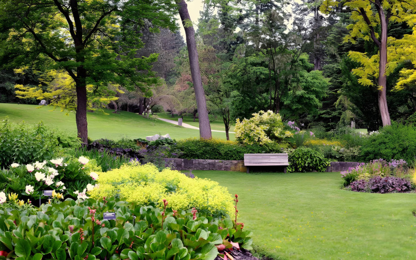 Stunning Floral Botanical Garden Desktop Image