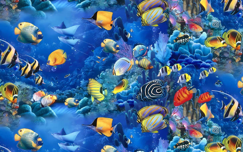 Stunning Underwater Fish Pic for Your Desktop