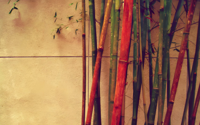 Serene Bamboo Desktop Background