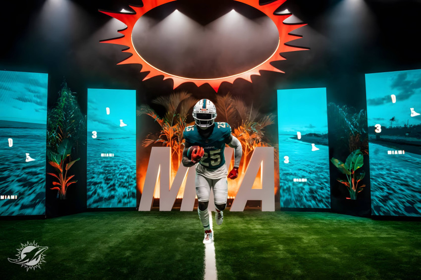 Amazing Miami Dolphins Picture to Decorate Your PC