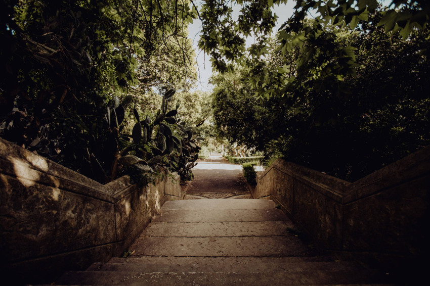 Tranquil Garden Desktop Wallpaper 4K