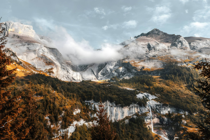 Snowy Forest Path Desktop Wallpaper