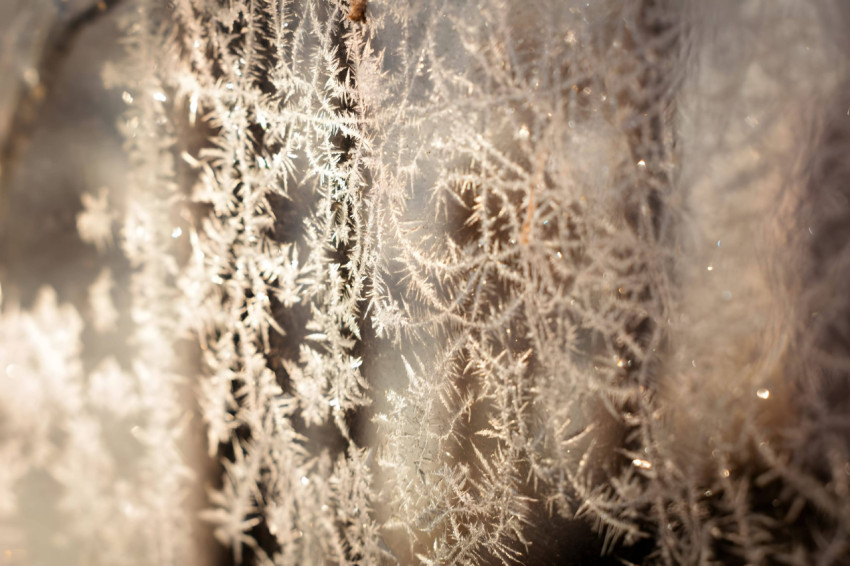 Frost Snowflake Charm Picture