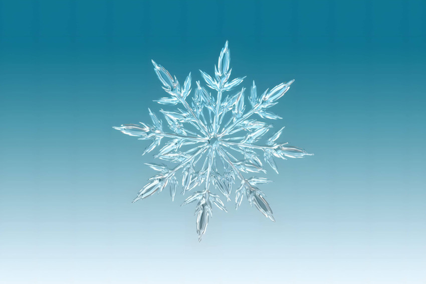 Snowflake Winter Bliss Photo
