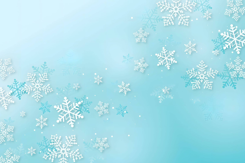 Winter Snow Flake Photo