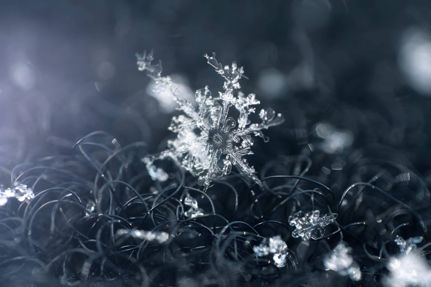 Icy Snowflake Beauty Wallpaper