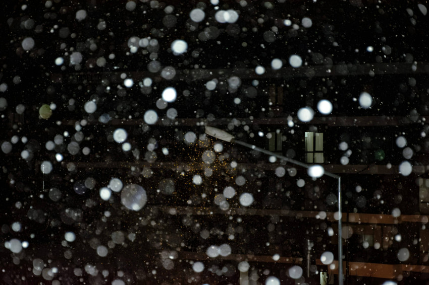 Snowflake Winter Spark Picture