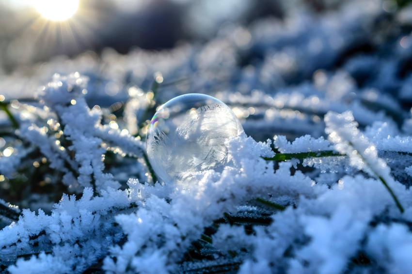 Crystal Snow Shine Image