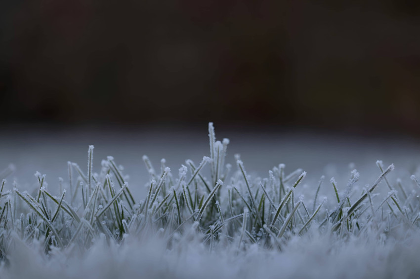 Icy Snow Flake Shine Image