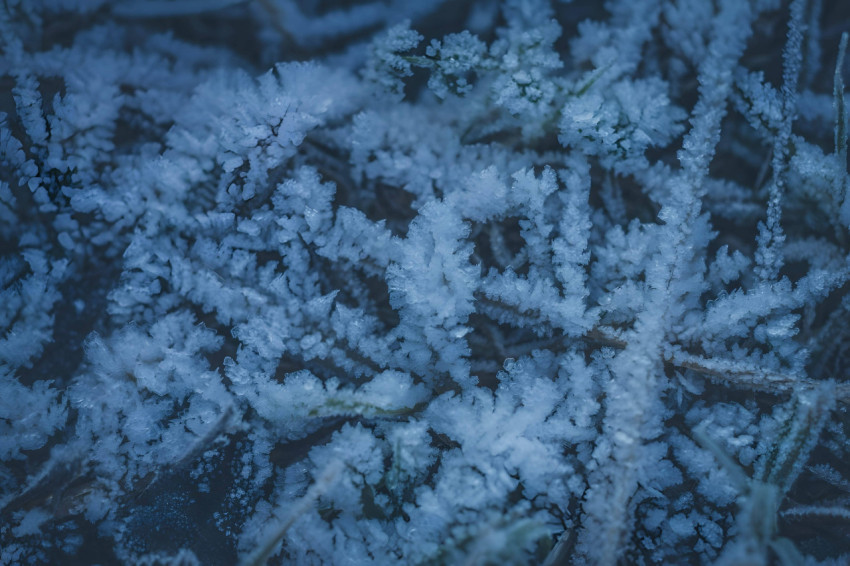 Winter Snowflake Dream Image