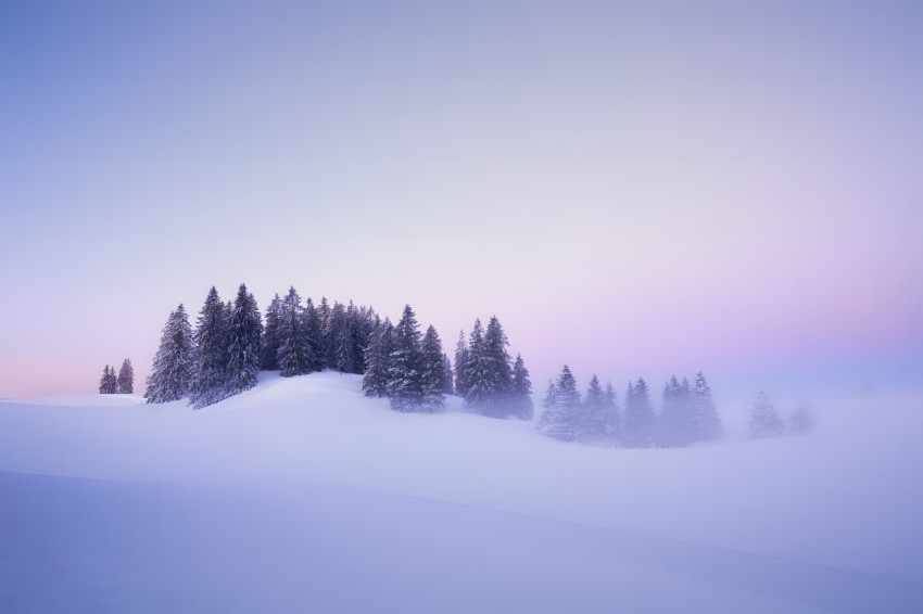 Winter Snow Scene Desktop Wallpaper