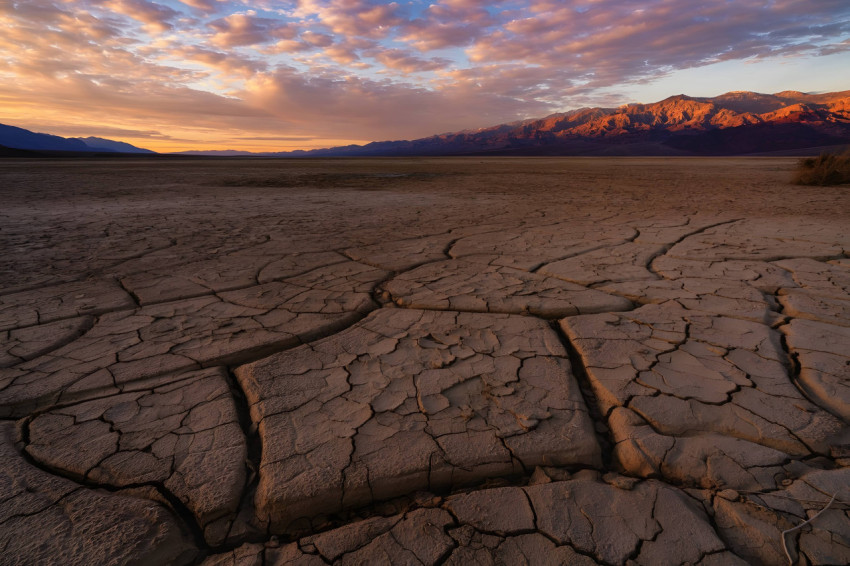 Desolate Desert Wilderness for PC Wallpaper