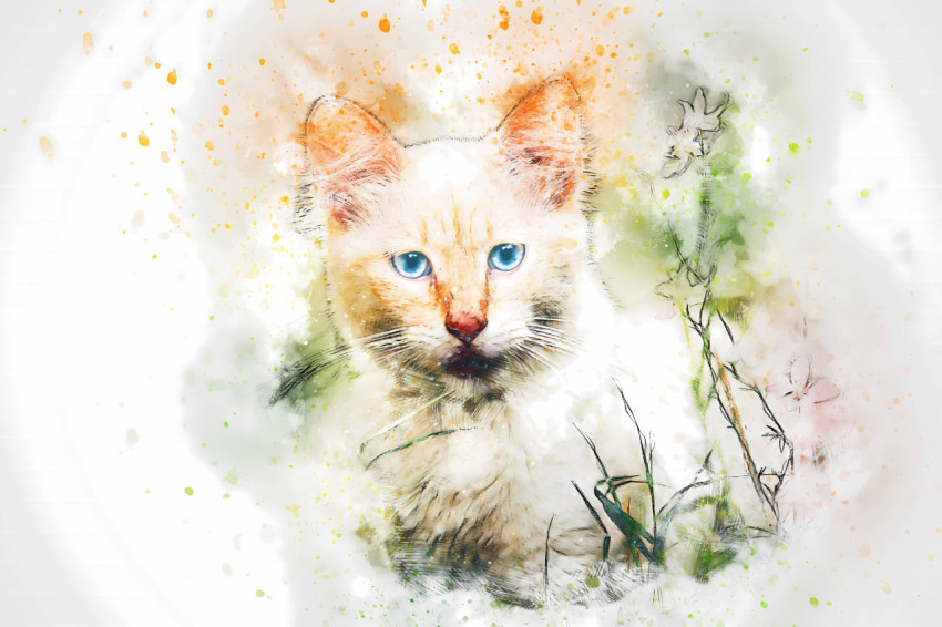 Gorgeous Watercolor PC Wallpaper for Your Desktop