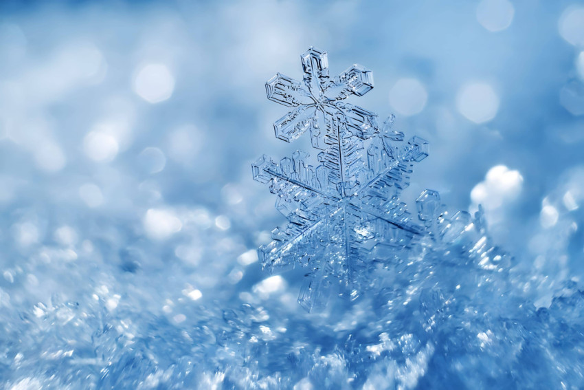 Frosty Snowflake Magic Picture