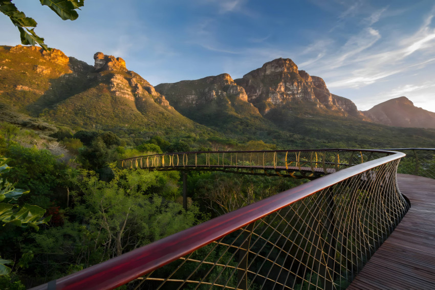 Vibrant Nature Botanical Garden Desktop Wallpaper