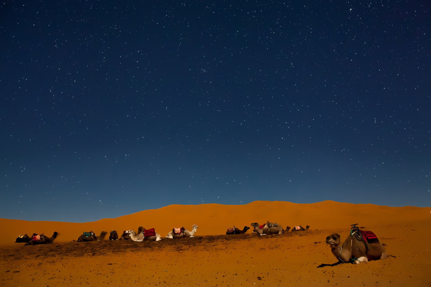 Dune Desktop Wallpaper in 4K for Your PC