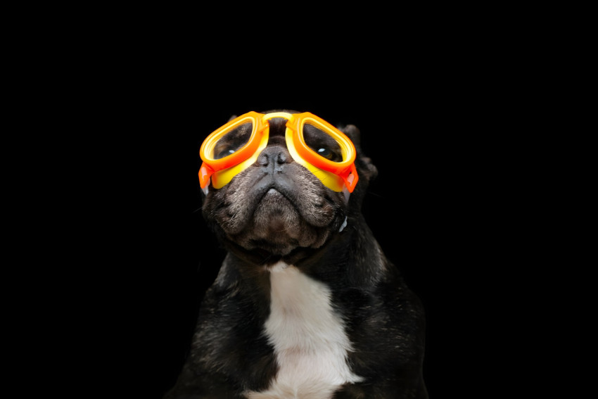 Goofy Ahh Desktop Wallpaper for Your PC