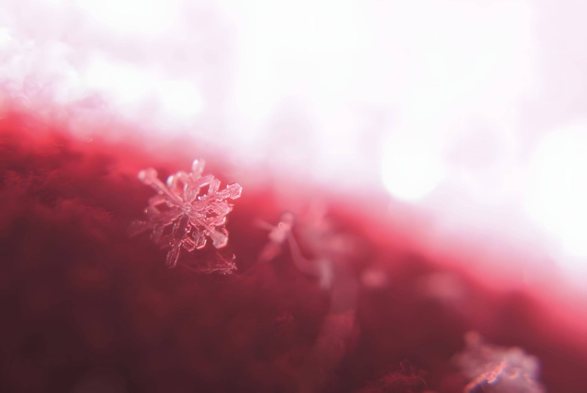 Winter Snowflake Magic Photo