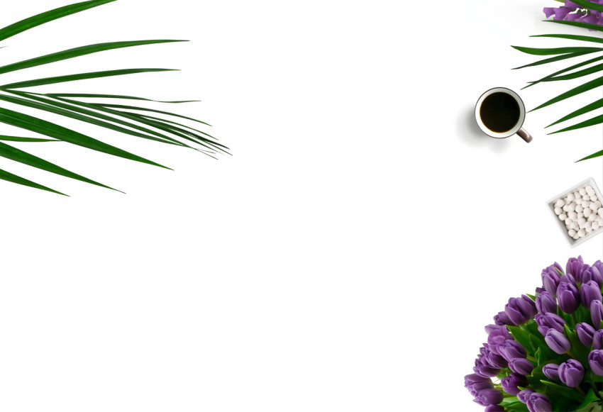 White Background Flower Photo For Desktop