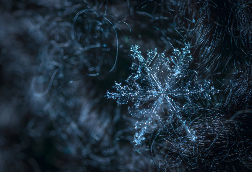 Frosty Snowflake Magic Wallpaper