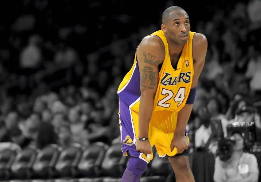 Black Mamba 4K Wallpaper for Desktop Screens