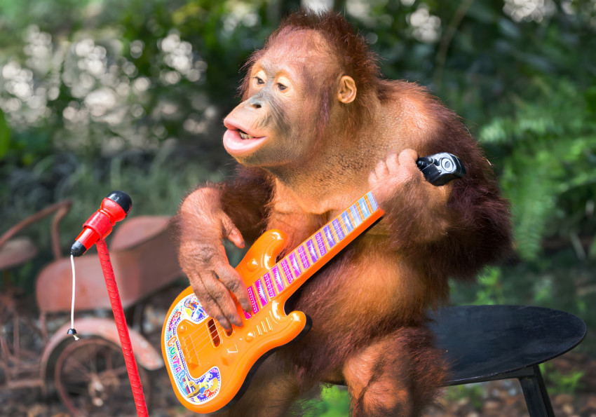 Goofy Ahh Desktop Picture for Every Mood