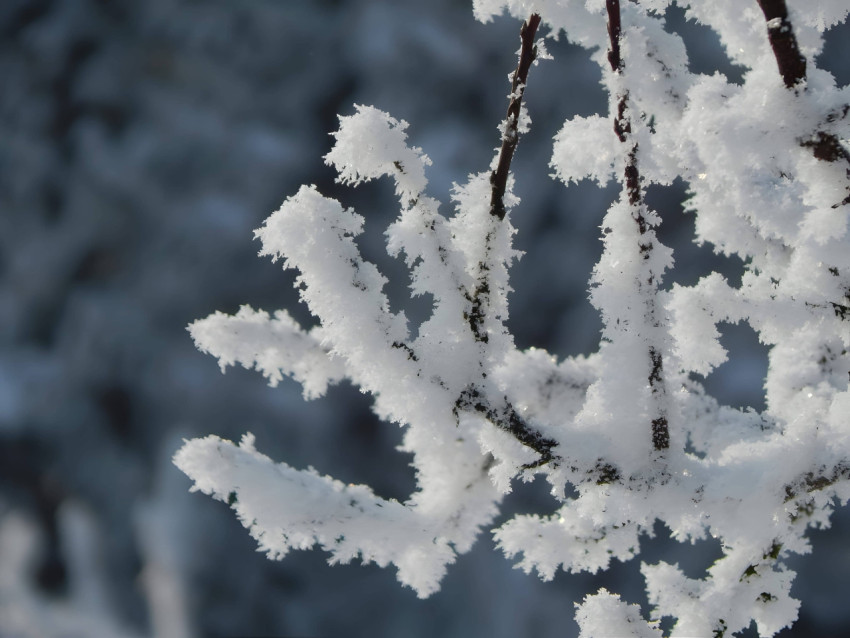 Glitter Snowflake Glow Image