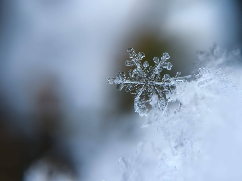 Glitter Snowflake Bliss Photo