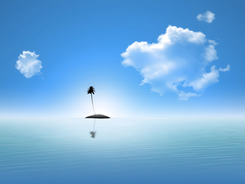 Palm Tree Desktop Wallpaper 4K