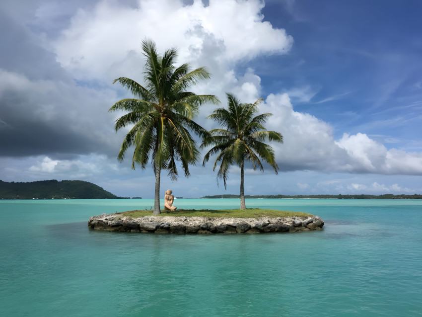 Beachfront Palm Tree Desktop Wallpaper