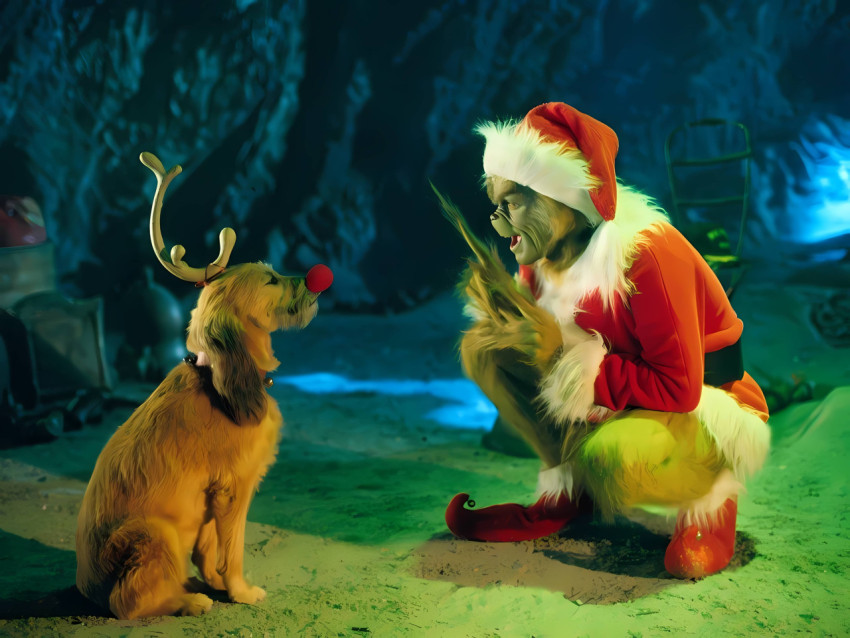 Fun The Grinch Desktop Picture for Your Desktop PC