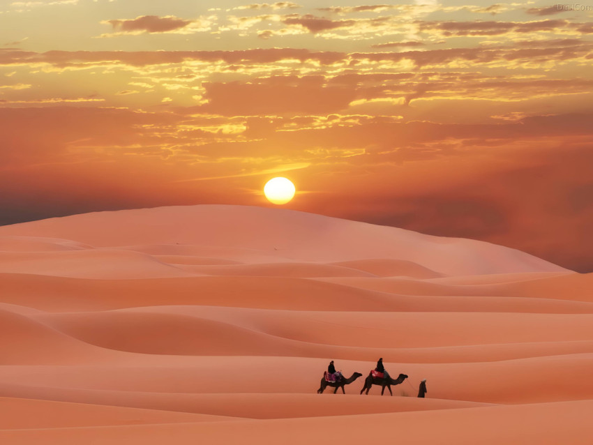 Desert Sunrise Scenic Wallpaper for Computer