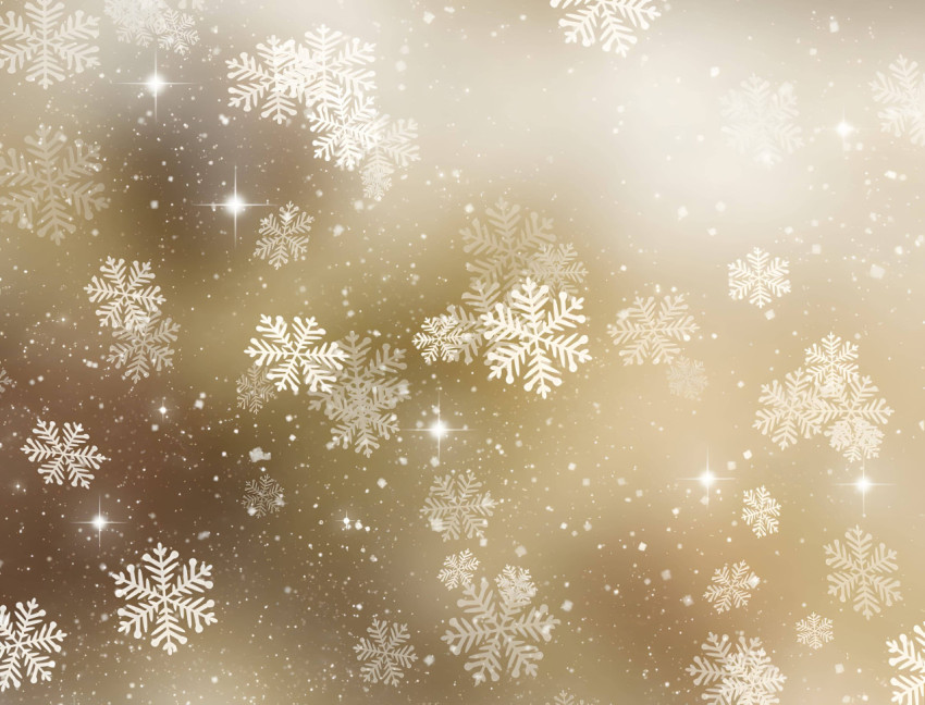 Snowflake Frost Beauty Image