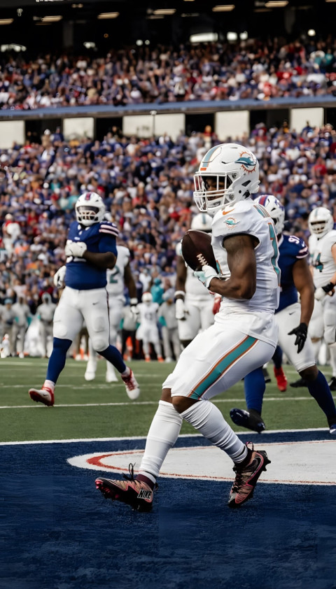 Miami Dolphins Picture to Power Up Your Screen