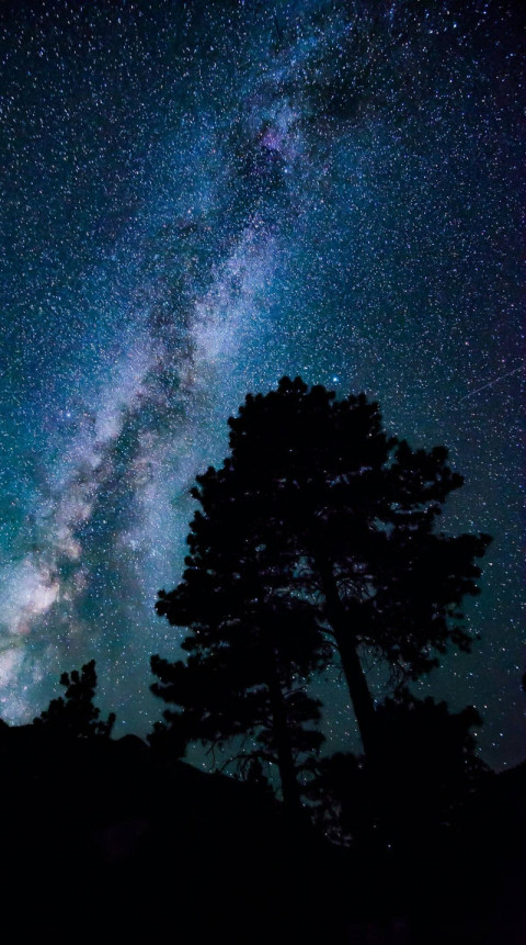 Meteor Shower Phone Background