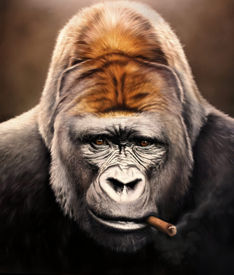 Gorilla Roaring Mobile Background