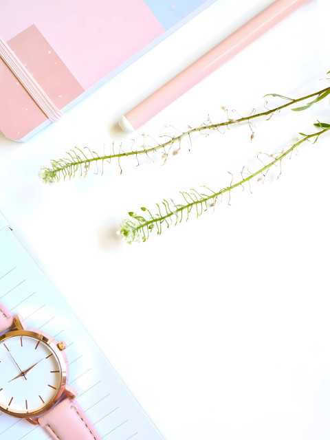 White Background Wallpaper For Mobile