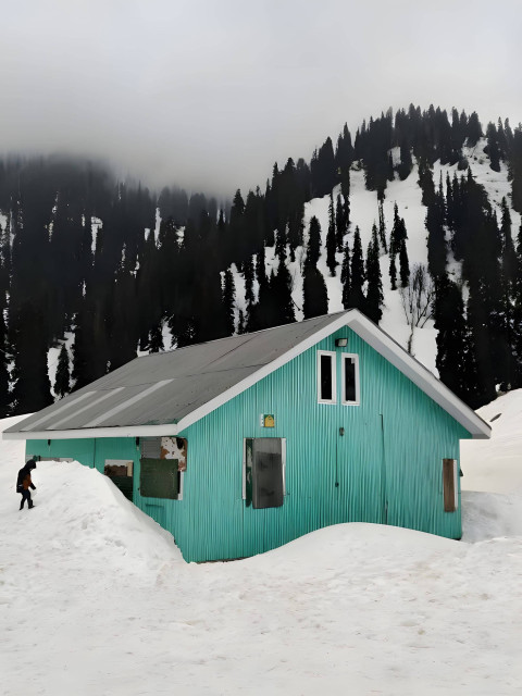 Frosty House Snowflake Dream Photo