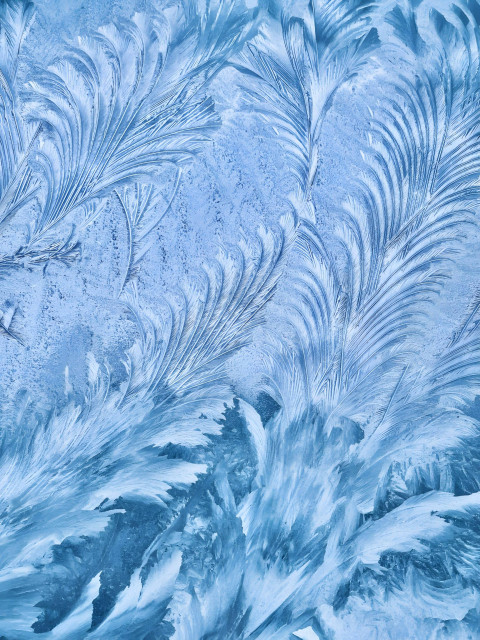 Crystal Snowflake Spark Image