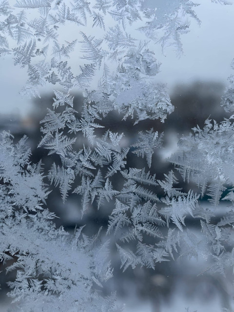Snowy Snowflake Art Photo