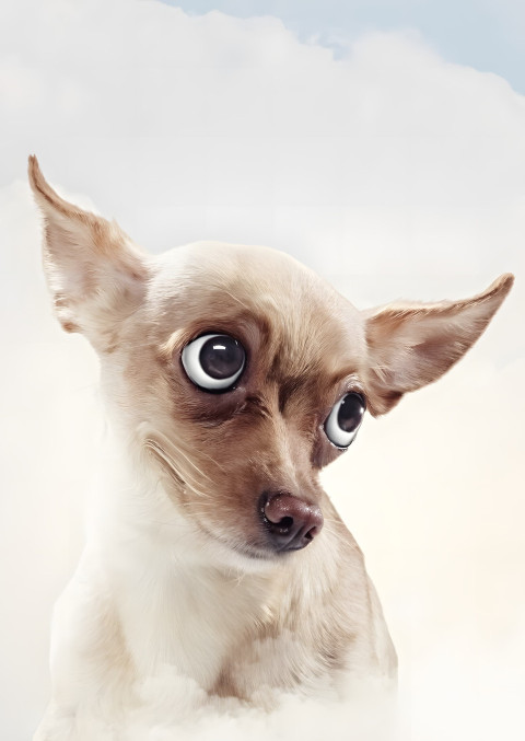 Goofy Ahh Mobile Wallpaper to Add Some Fun