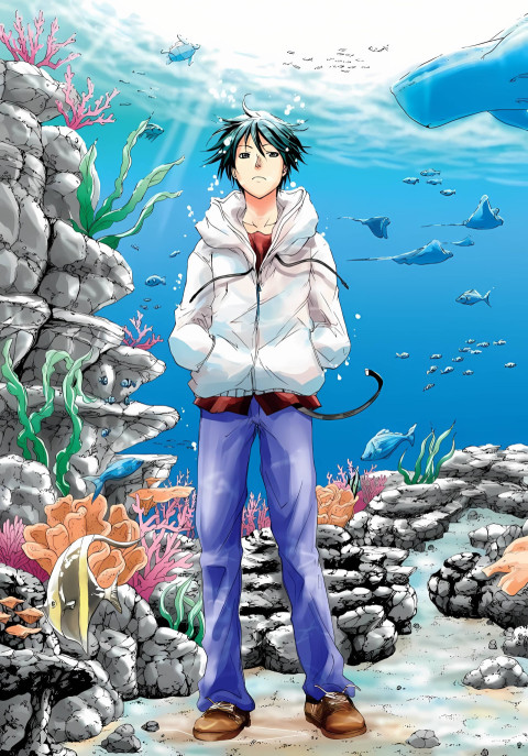 Grand Blue Dreaming Mobile Wallpaper Japan