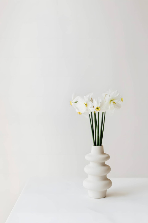 White Flower Background For Device